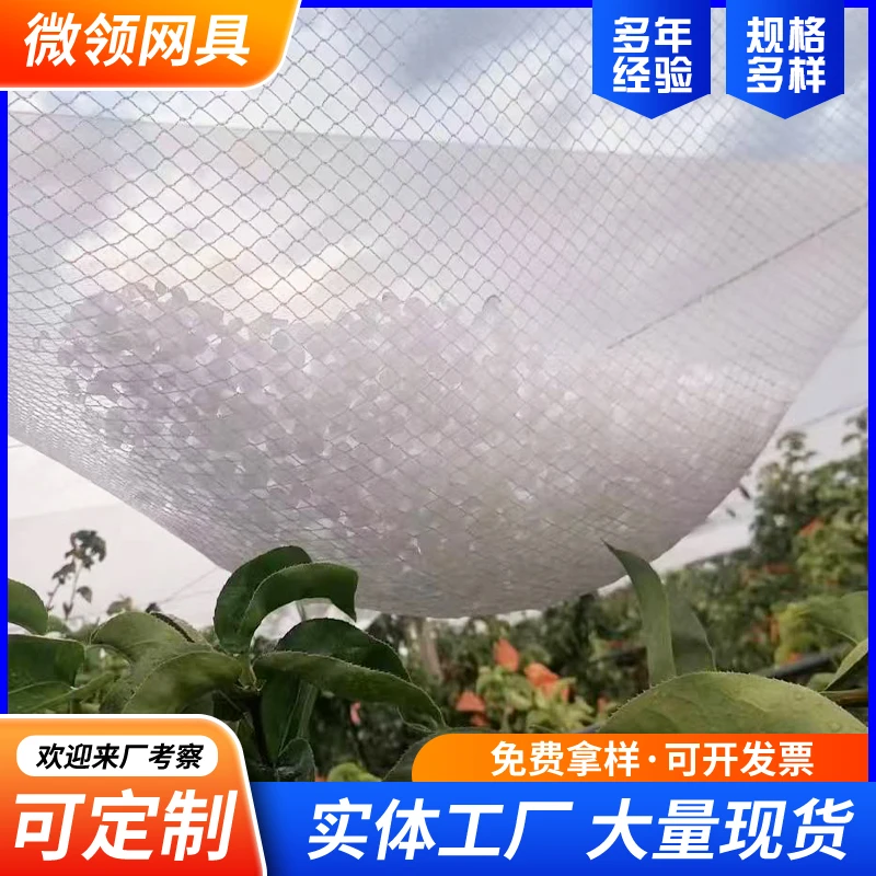 防雹网果园防鸟网樱桃葡萄嘉宝果树防小鸟网防冰雹网全新料抗老化