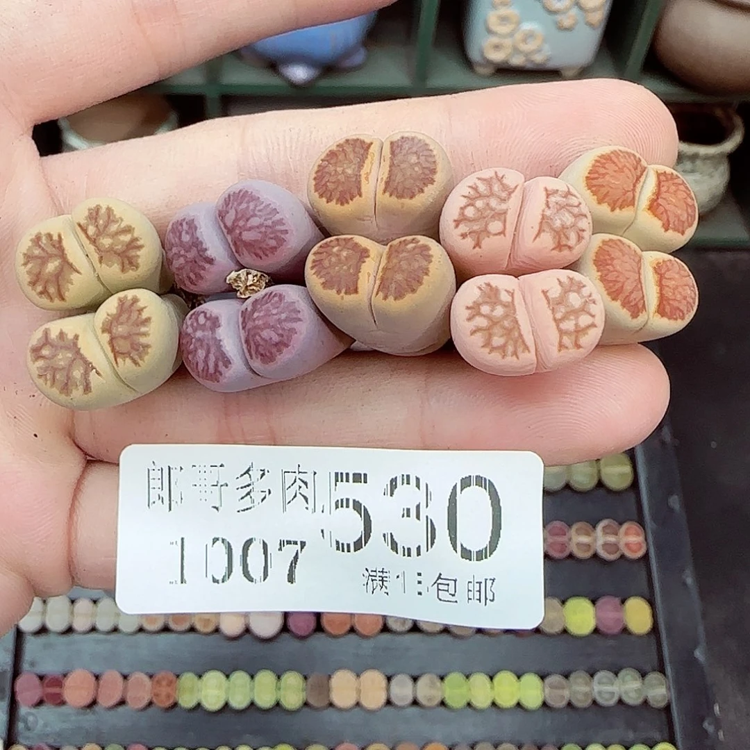 *****满满18包邮1007-530