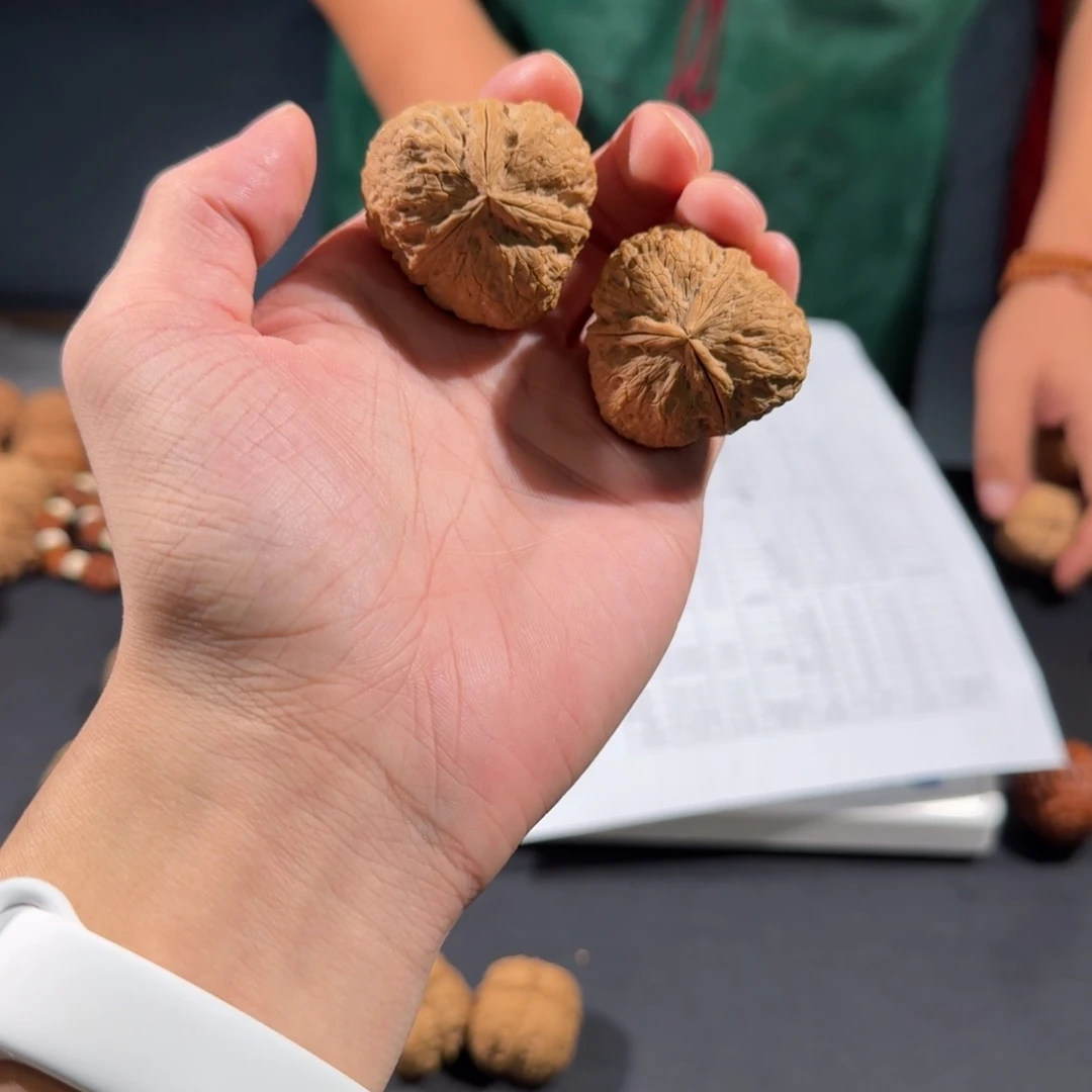 文玩核桃把件75号元宝三棱