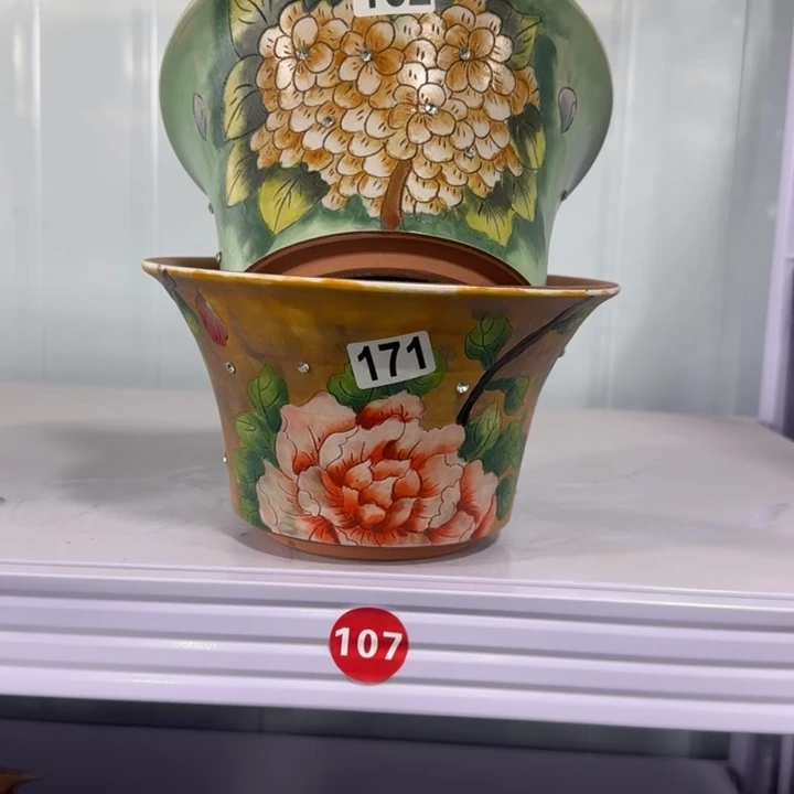 红陶田小姐多肉花盆