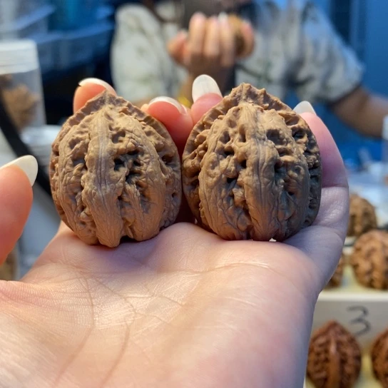 桃核把件东北秋子8