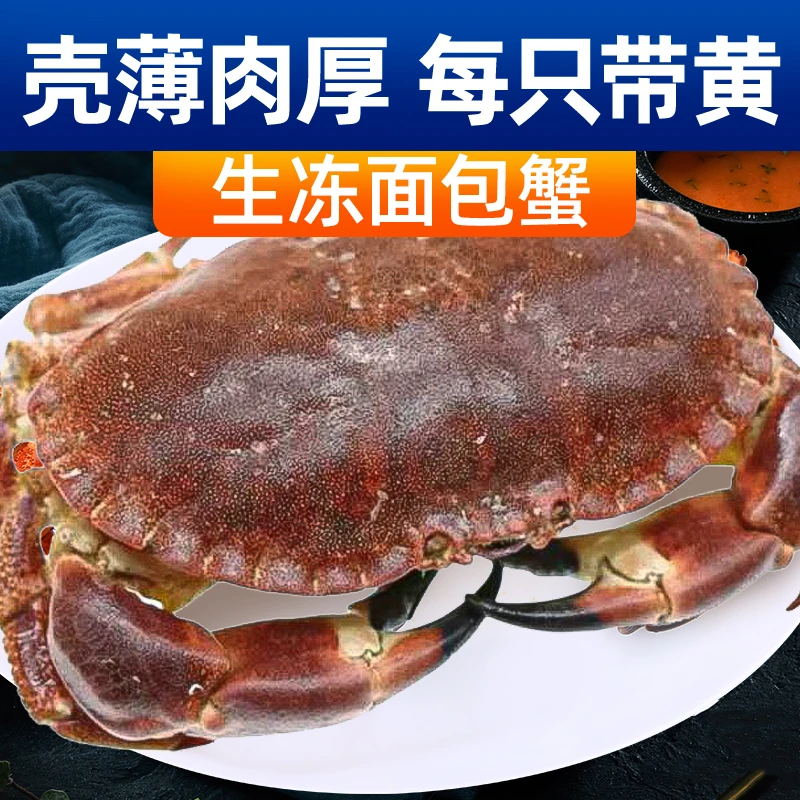 【带膏面包蟹】英国单只生冻带膏面包蟹1.2斤 到货香辣清蒸加热即食