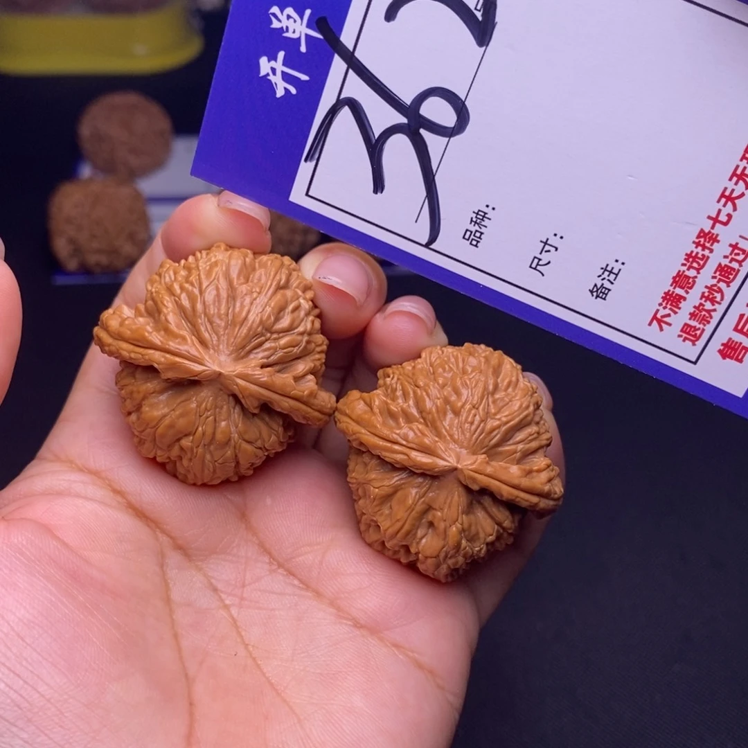 362号链接白狮子3.8尺全品