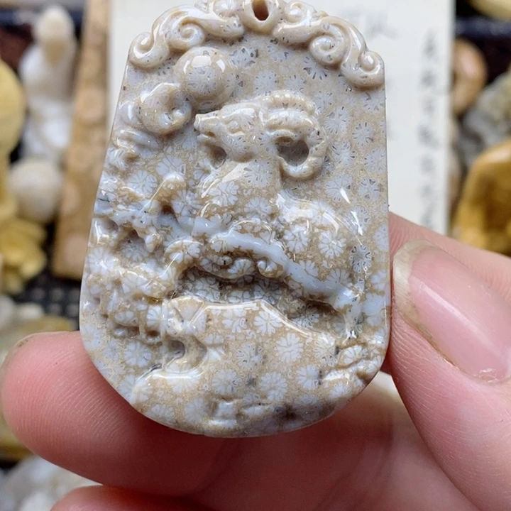 颈饰未镶嵌硅化珊瑚（珊瑚玉）