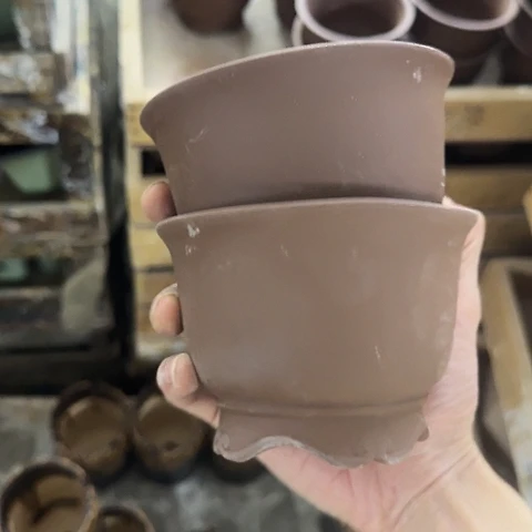 ···2个处理······