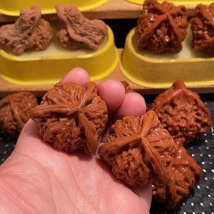 花***落手串/手链核桃核桃核桃核桃核桃核桃