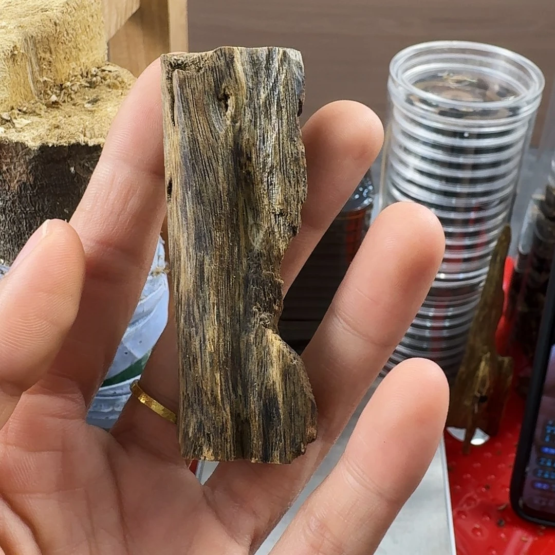 香料绿奇楠虫漏陆河8克