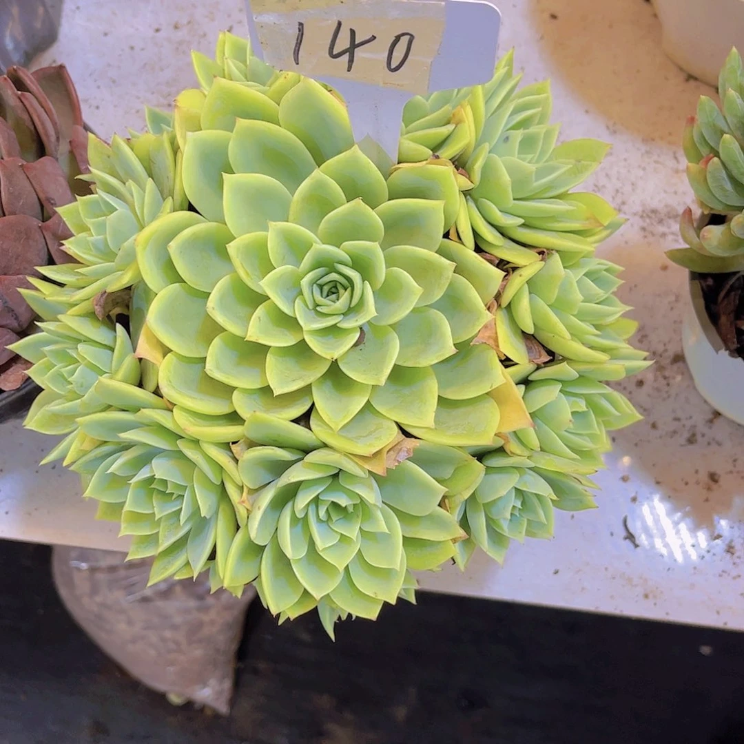 @***姐0000000000000000140