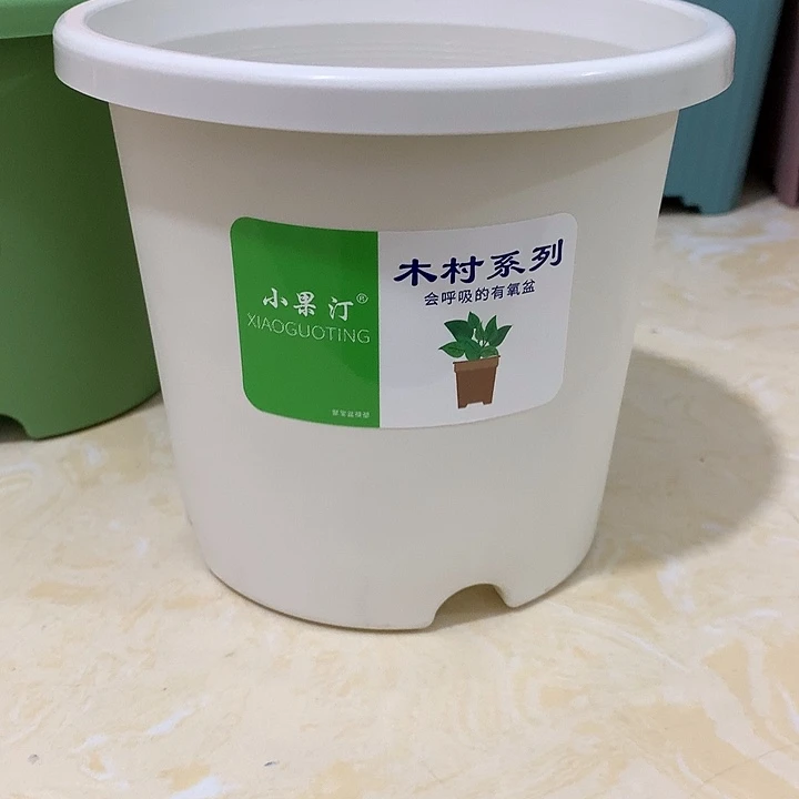 小果汀15口白10个