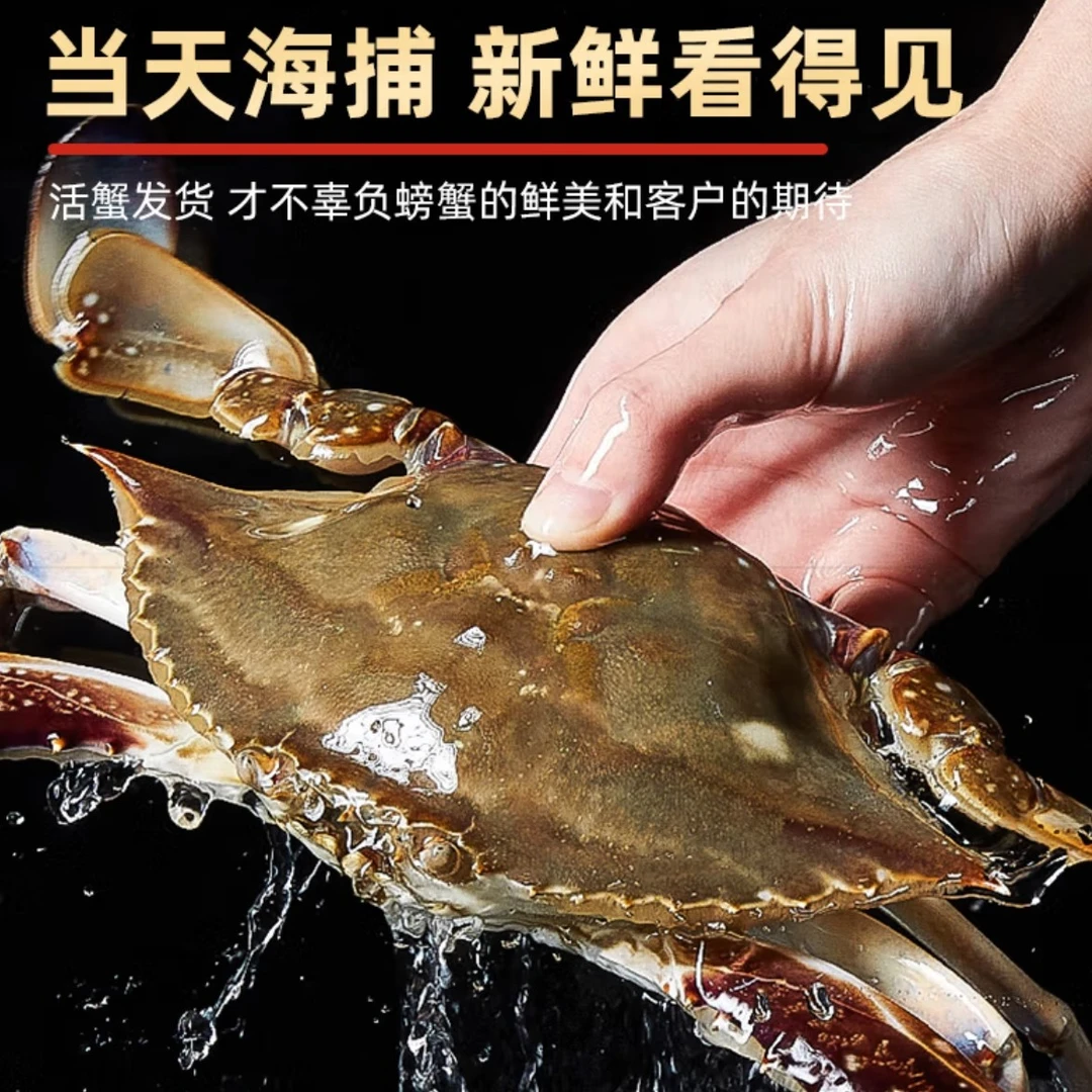 双拼【保鲜不保活】梭子蟹海鲜2-3两/只 +皮皮虾15-30条/斤数可选