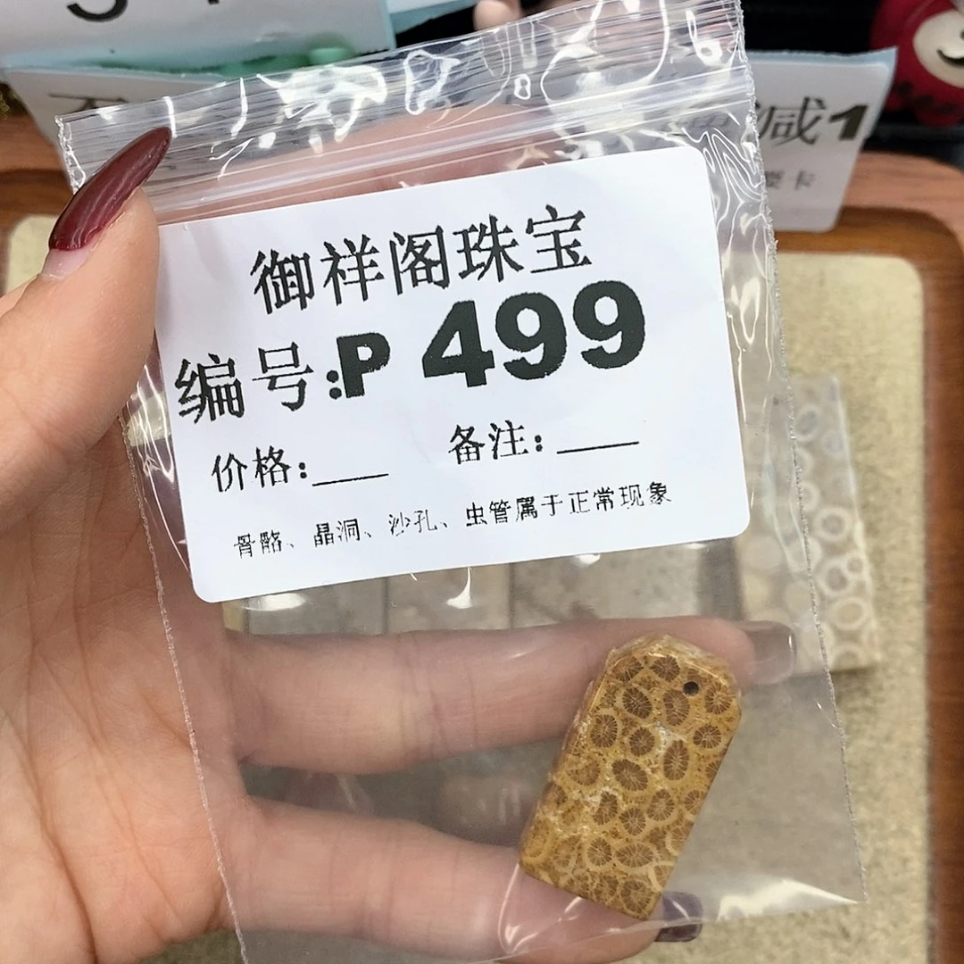 硅化珊瑚（珊瑚玉）P未镶嵌一***森