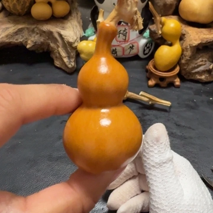 明***好6…………………………………………