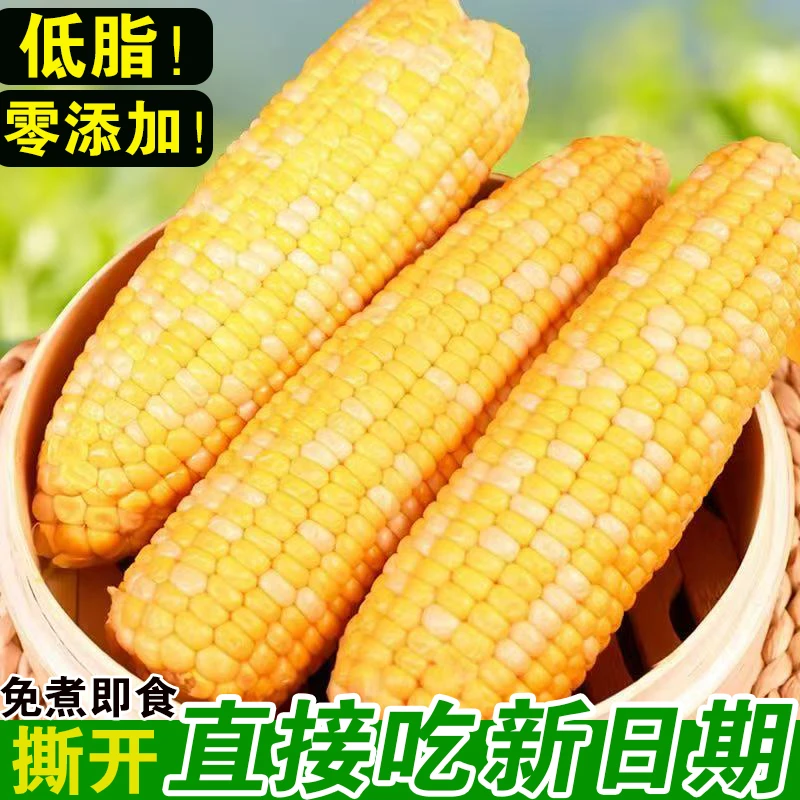 2025年甘肃产地开袋即食代餐水果玉米高温灭菌高海拔种植脆甜可口