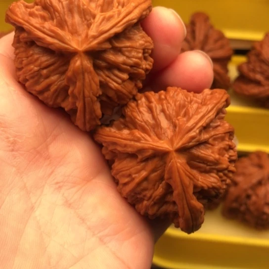 核桃核桃核桃核桃核桃
