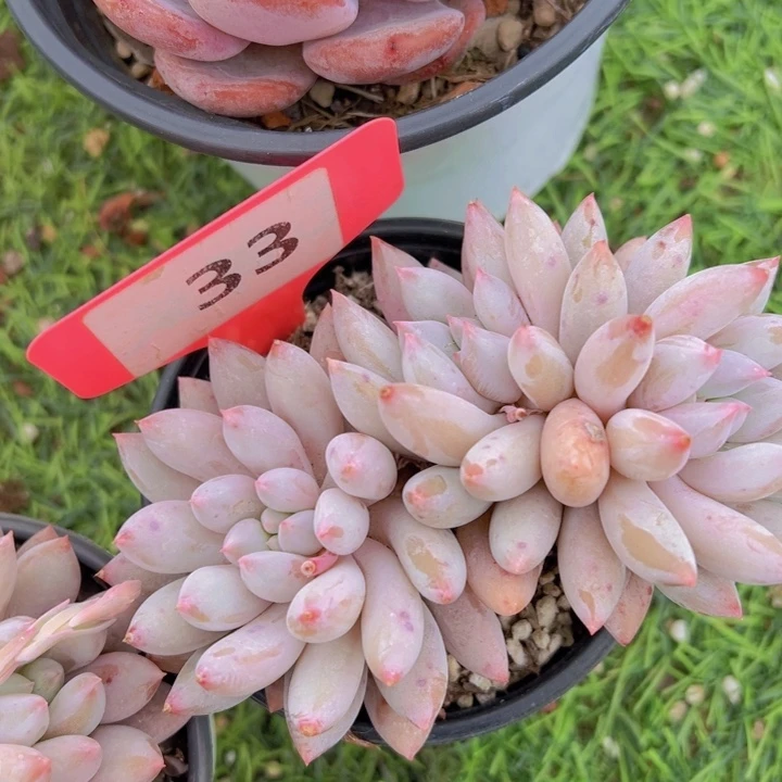 健健康康平平安安