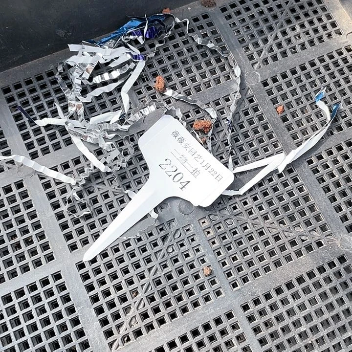 薇薇安园艺多肉2204