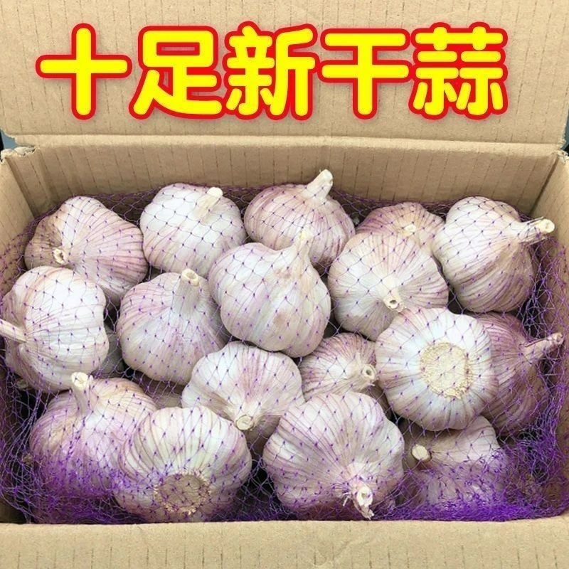 【农家干蒜】纯干蒜紫白皮手工采摘无农残蒜香十足辛辣鲜香批发价