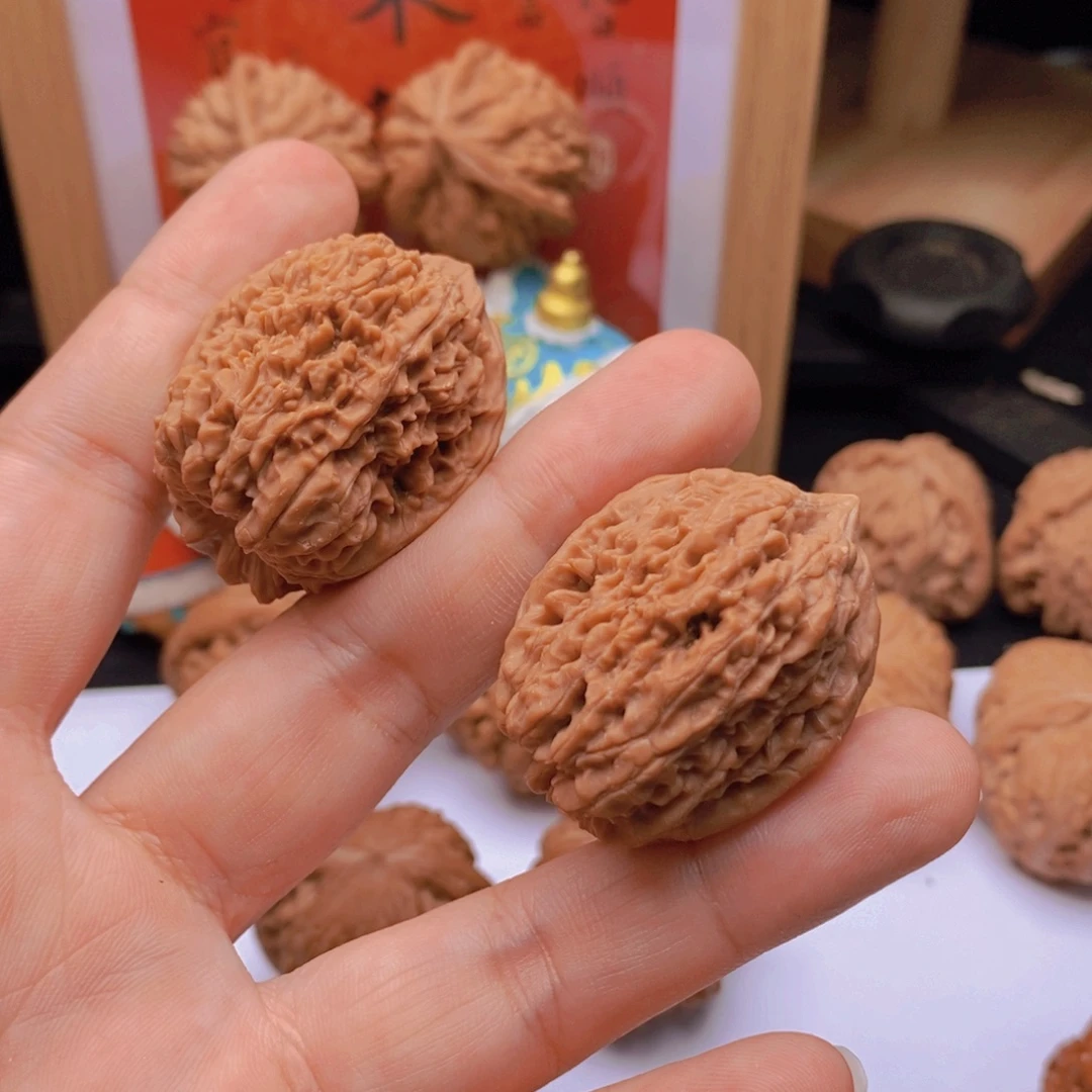 31边34肚大蒜头全品