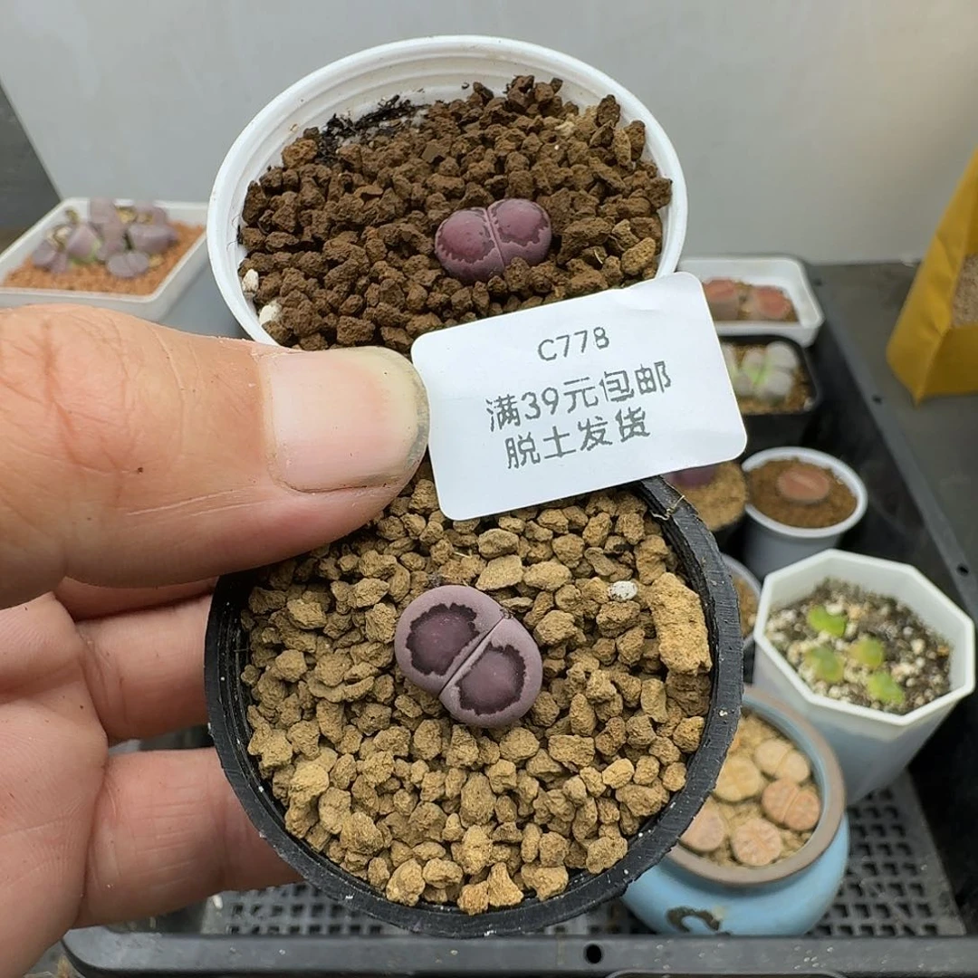 陆***装778哈哈哈哈哈哈哈哈哈