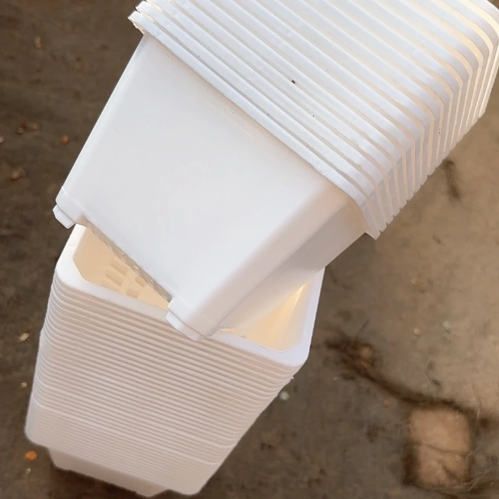 红陶120白方盆11公分高8公分12个