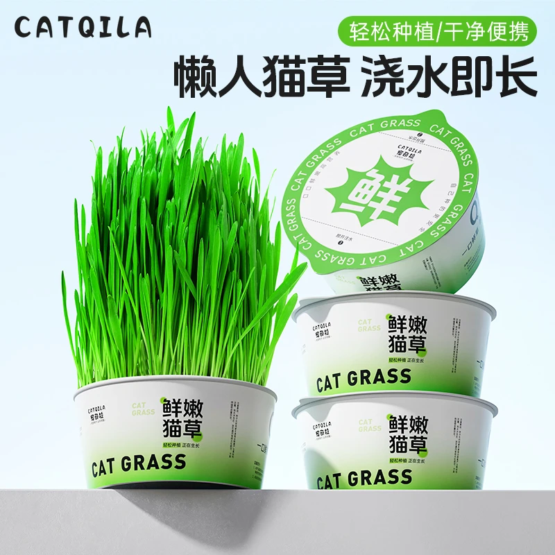宠奇拉Q1轻松猫草盆栽种植助化毛懒人水培盆子猫薄荷猫咪零食用品