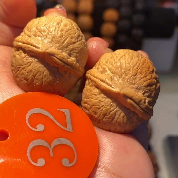 26号链接七彩龙珠32尺寸