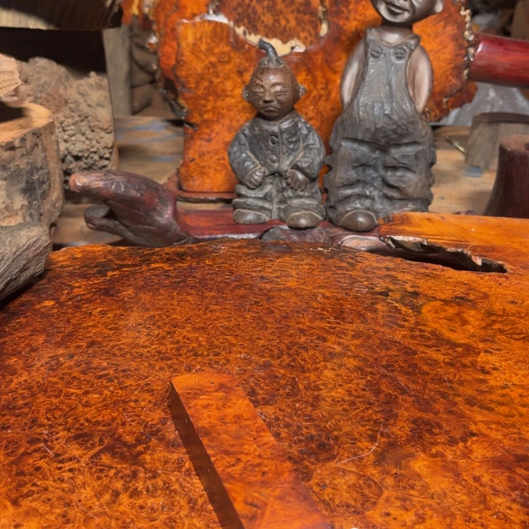 大果紫檀（缅甸花梨）