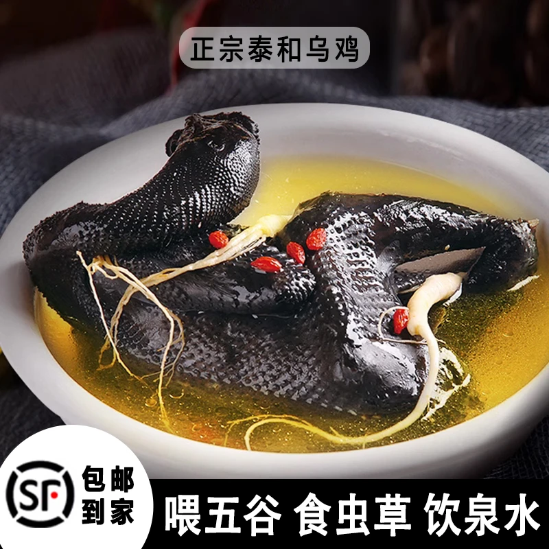 400天谷物林下散养原种泰和乌鸡整只生鲜发货