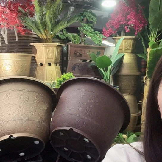 复合盆景896698555