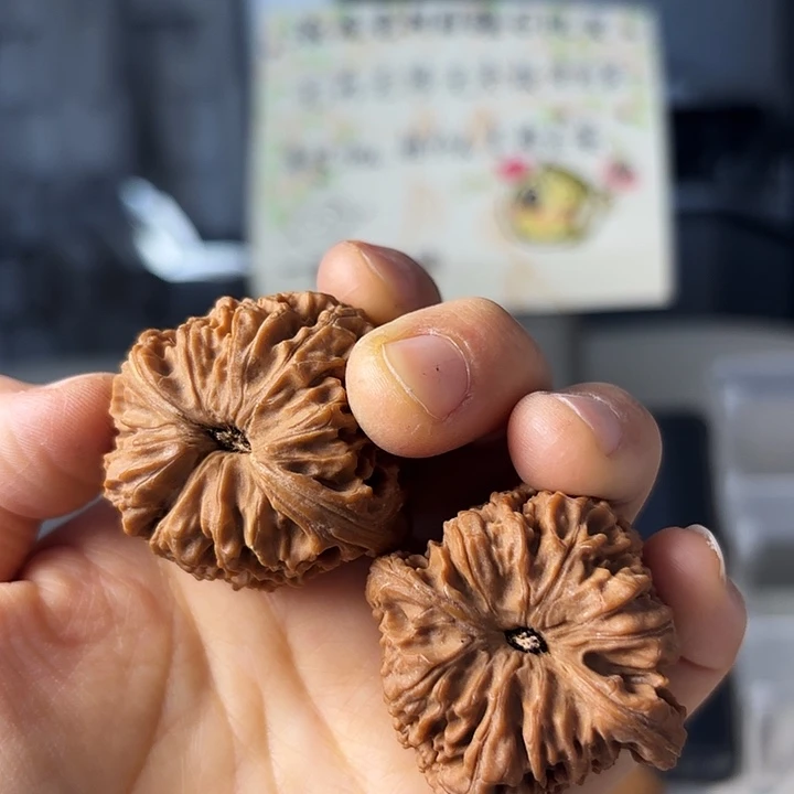 八***爷南疆石狮子头一对