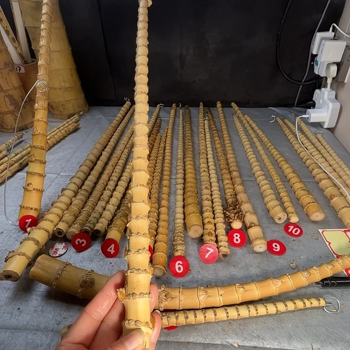 扇子苦竹烟杆半成品