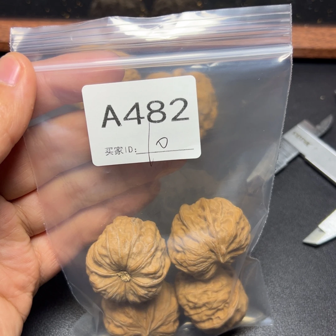 核桃哈哈哈哈哈我的