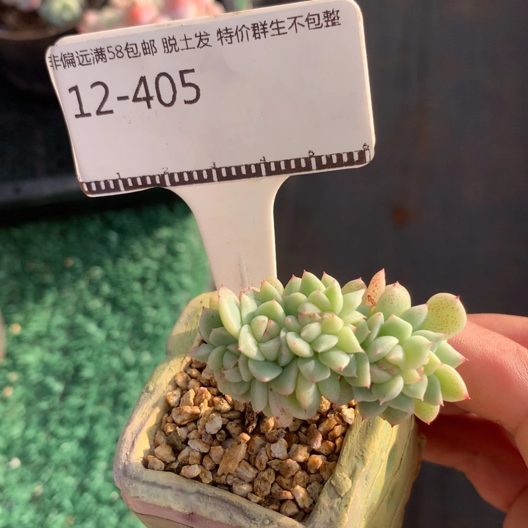 甜心缀化福利精品58包邮