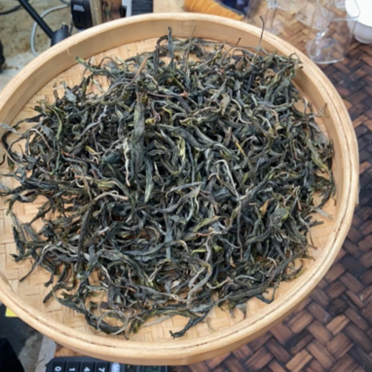 *2025年【大忠山·单株·春】晒青茶【生散茶】-5月29日【08】