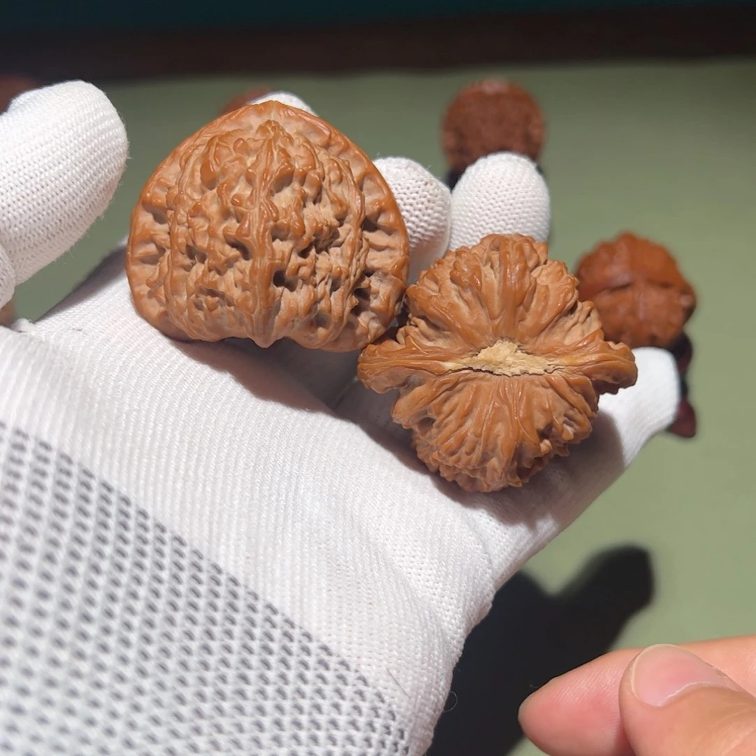 文玩核桃把件46白狮子三角白（微修）