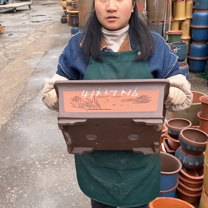 紫砂花盆盆栽花卉苗木种植