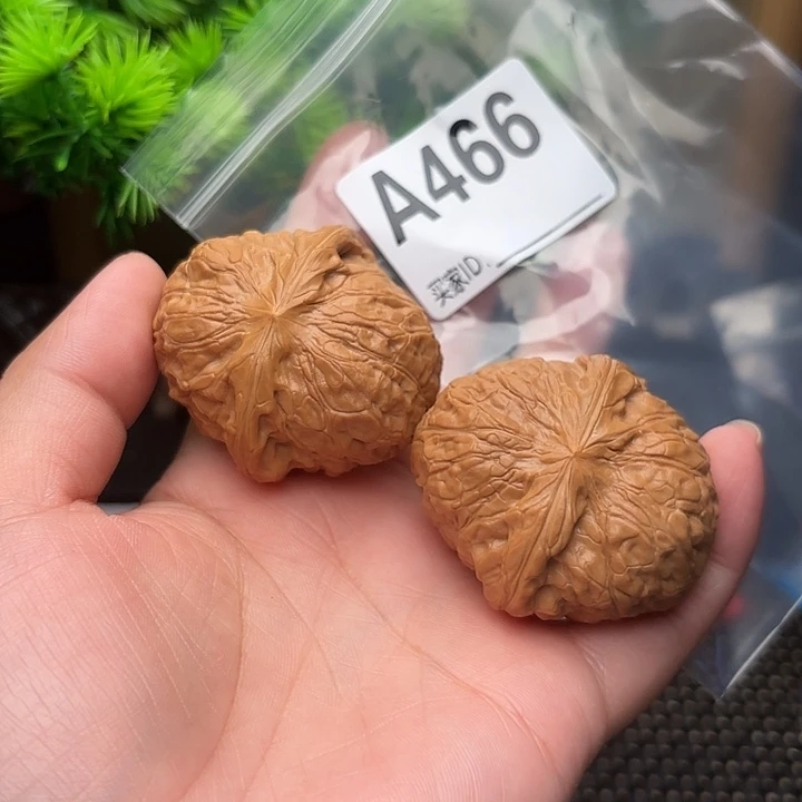 桃核把件核桃南关敦42