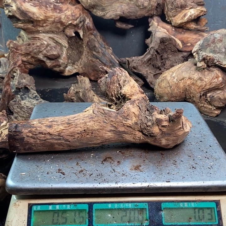 黄花梨/降香黄檀夏**风