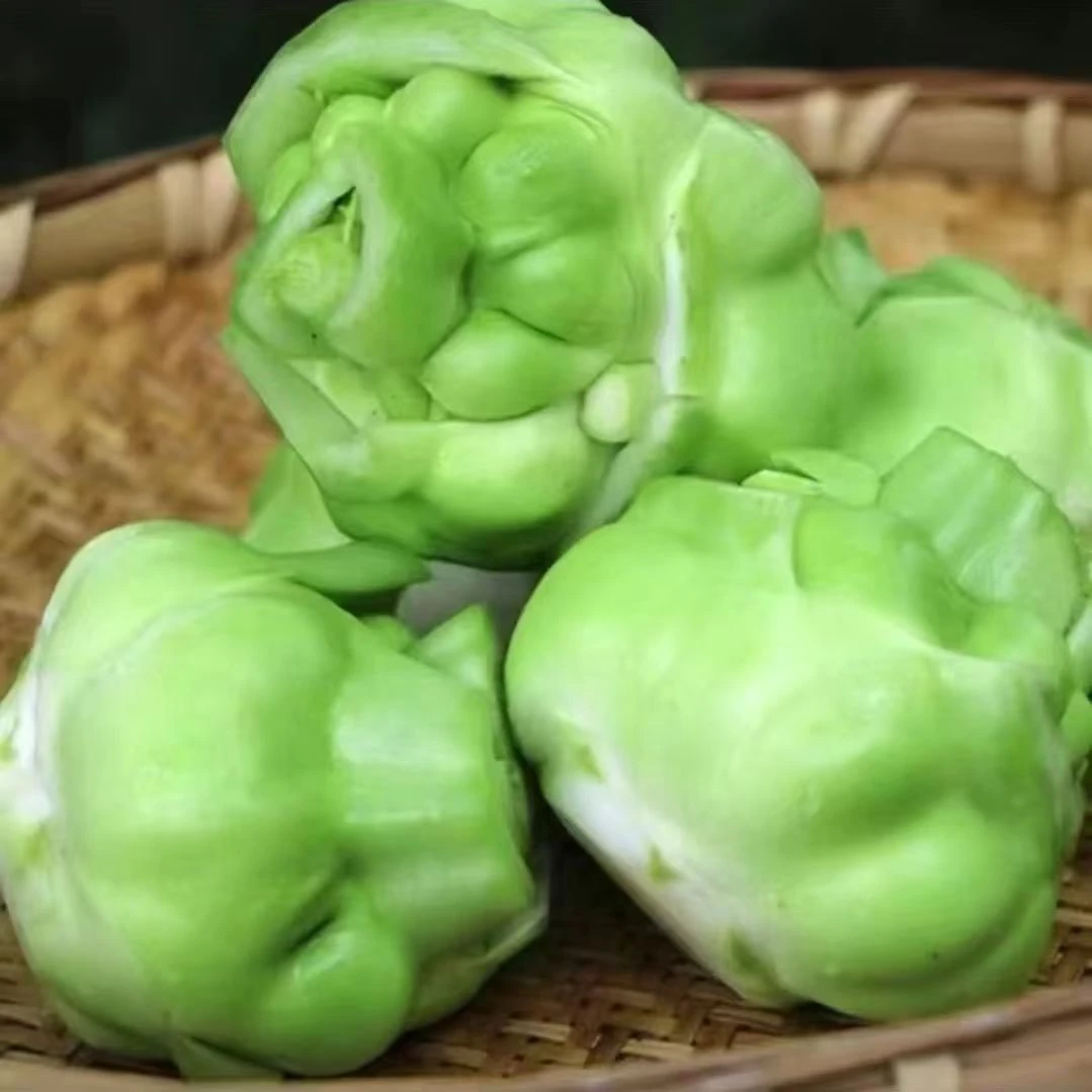 新鲜现挖现发四川榨菜特产青菜头菱角羊角芥菜新鲜菜农家下饭菜四川榨菜