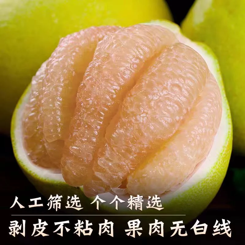 尝鲜度尾文旦柚新鲜柚子当季水果甜嫩多汁
