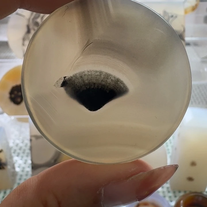 玛瑙/玉髓未镶嵌项链