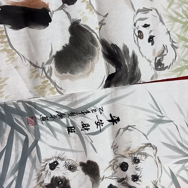 横款新号开播，欣赏一下……
