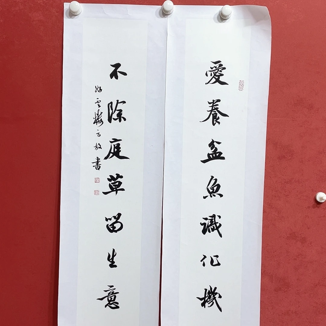 书法爱养不除直播大漏