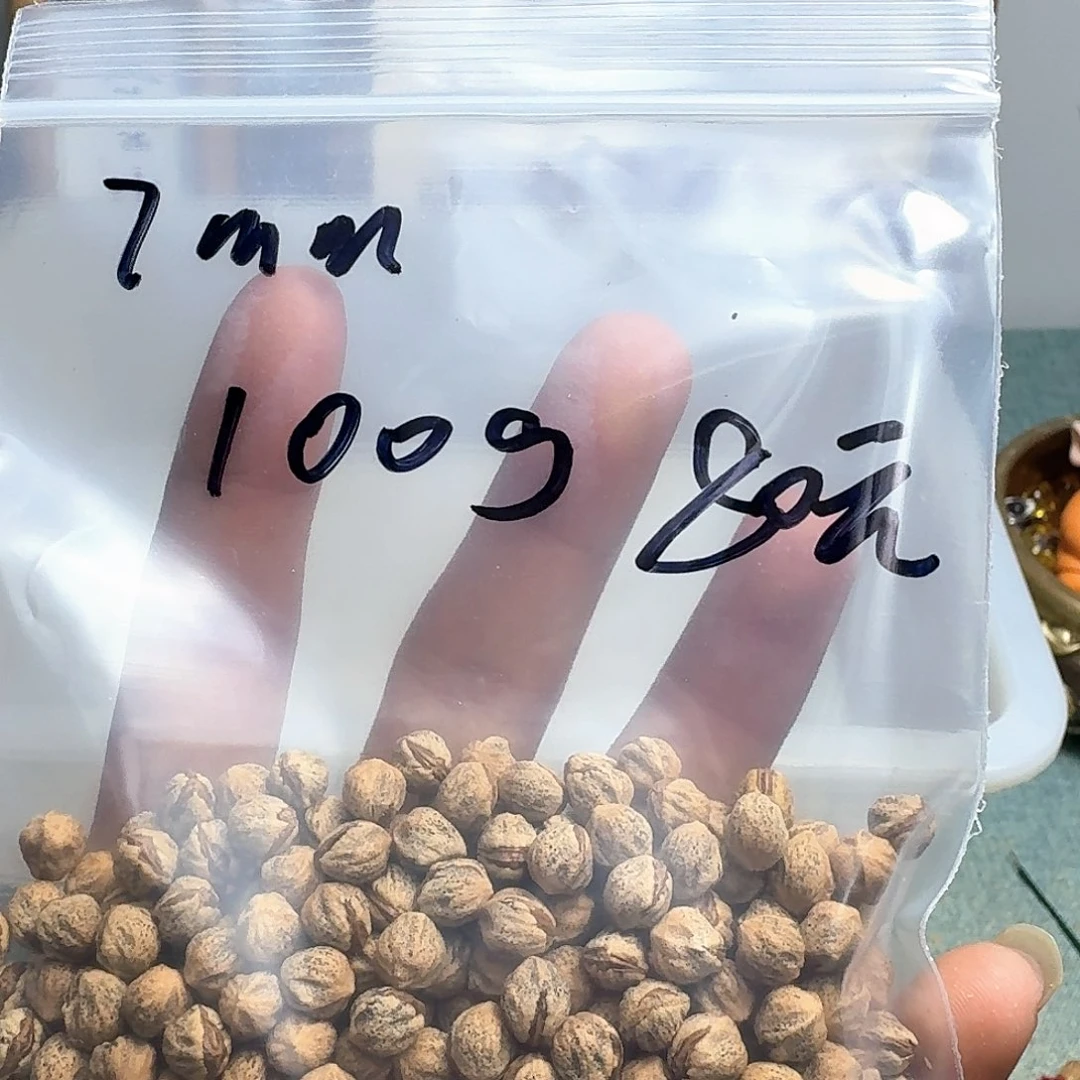 柏香籽/百香籽吊坠广***门