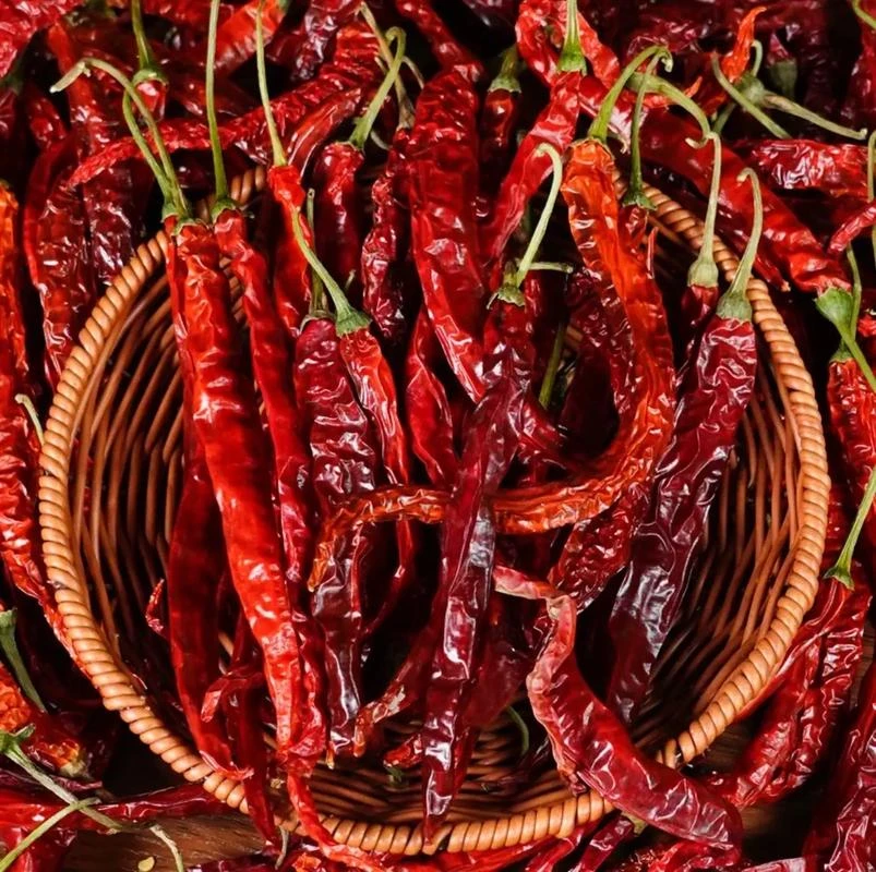 农家自产自销现场收干辣椒