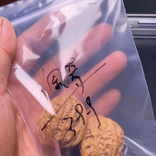 【闪购商品】把件文玩核桃想****奇铁锤