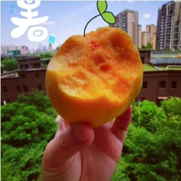 【炎陵黄桃】新鲜优质营养美味黄桃选自高山礼盒装大果9颗中果12颗