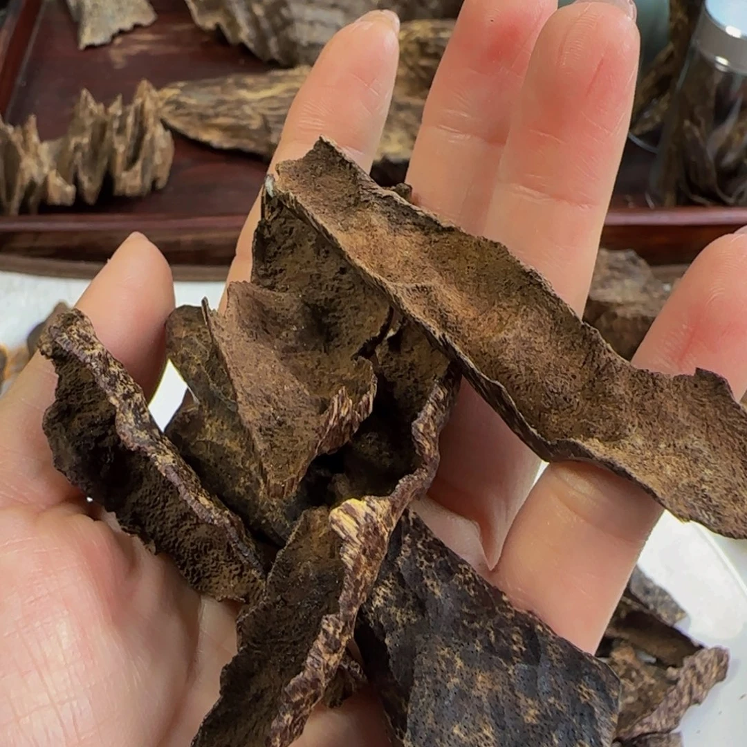 香榧木海南鸡母虫10g