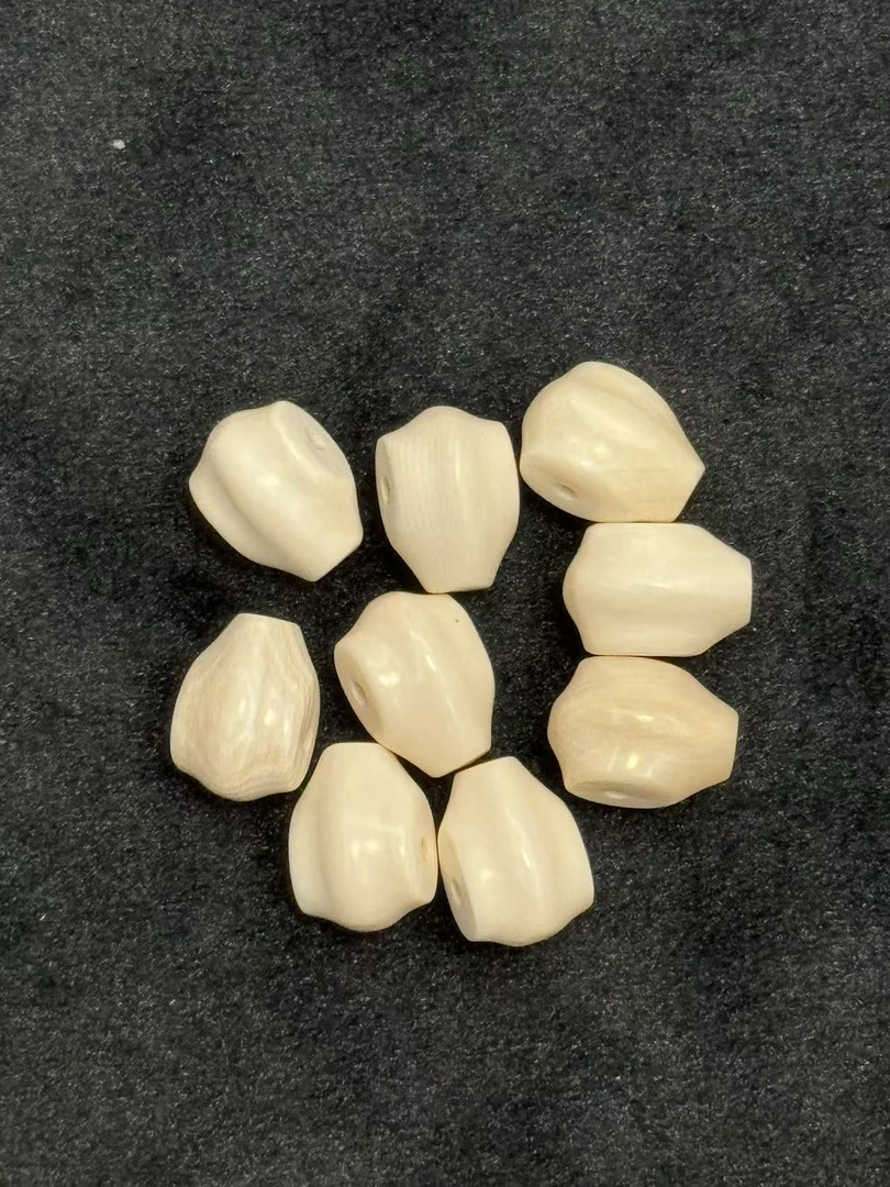 编号M50344 天然猛犸 鲨鱼鳍 小三通