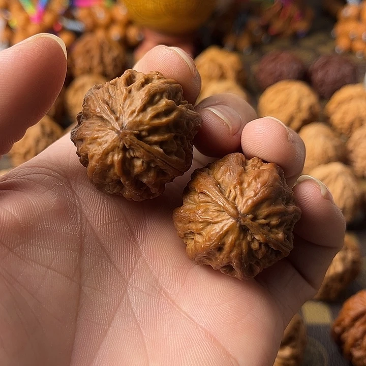 文玩核桃吊坠野生霸王龙